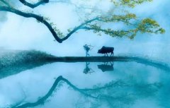 回归乡村,方知幸福 【轻钢别墅】
