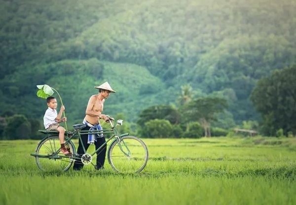 回归乡村，方知幸福 【轻钢别墅】(图5)