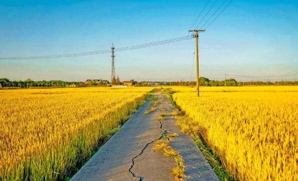 轻钢别墅: 远离城市喧嚣,独享一方宁静(图2) 乡间风景