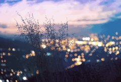 轻钢别墅: 远离城市喧嚣,独享一方宁静