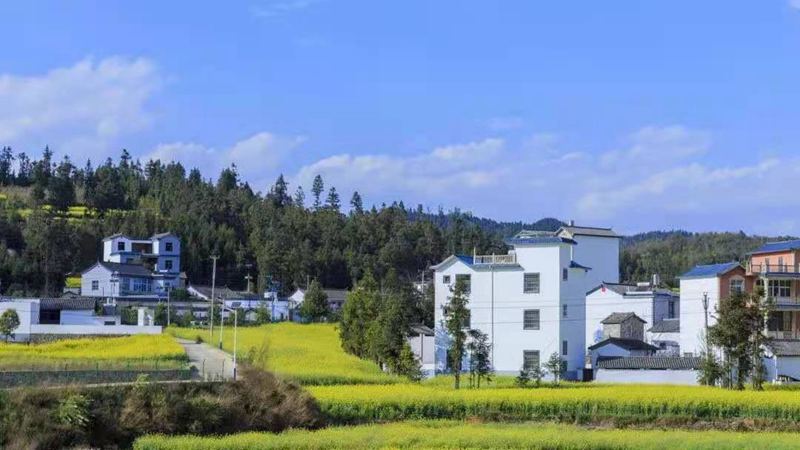 农村开始实施禁止建新房?是真的吗?(图2) 睿婕轻钢别墅