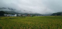 “梅雨季”看轻钢别墅如何抵御南方的霉雨天?会生锈?不可能!