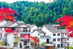 2021年杭州计划新开工装配式农房4.3万㎡,大约完成6000户的农房建设!