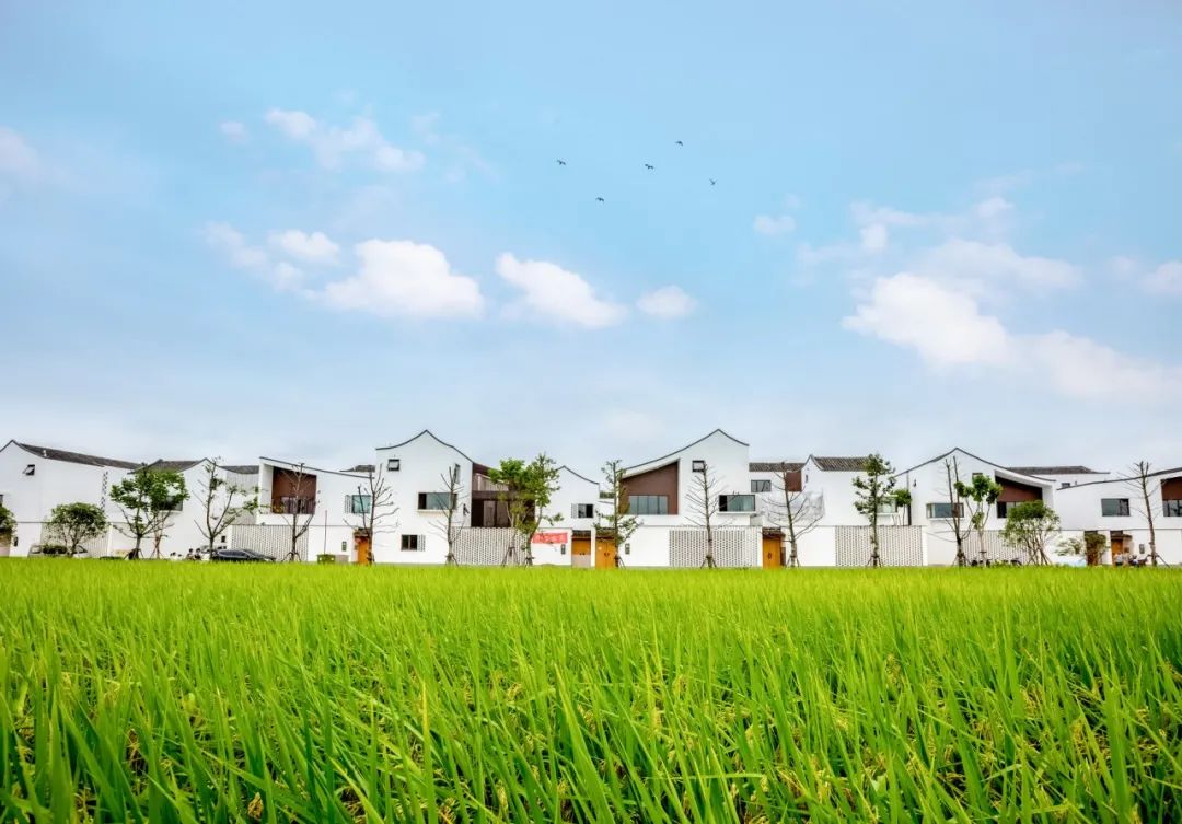 住建厅给你揭晓 装配式农房有哪些有点?(图1) 睿婕轻钢别墅