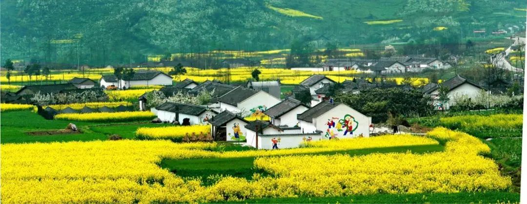 从经济的角度来看如何建设宜居宜业的美丽乡村(图5) 睿婕轻钢别墅